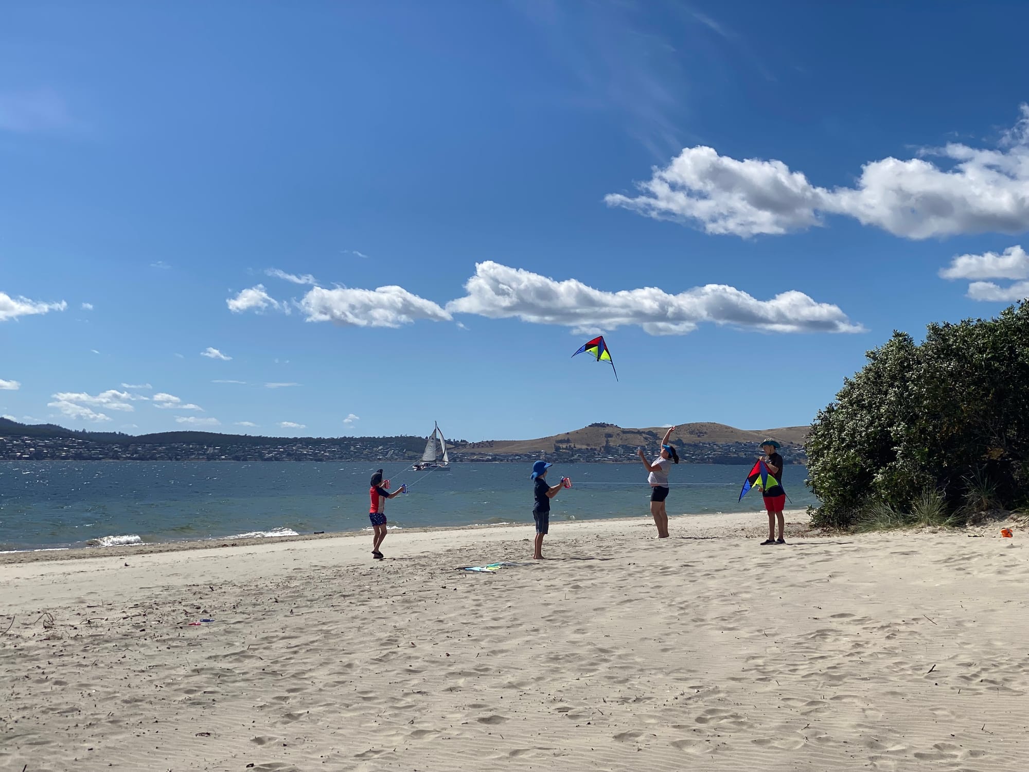 Photo of four people flying kites on a Hobart beach on a sunny day.