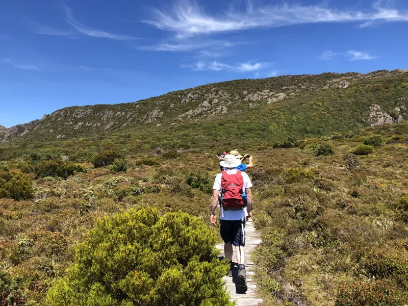 Submission to Exposure draft of The Health Revolution - 20-Year Preventive Health Strategy