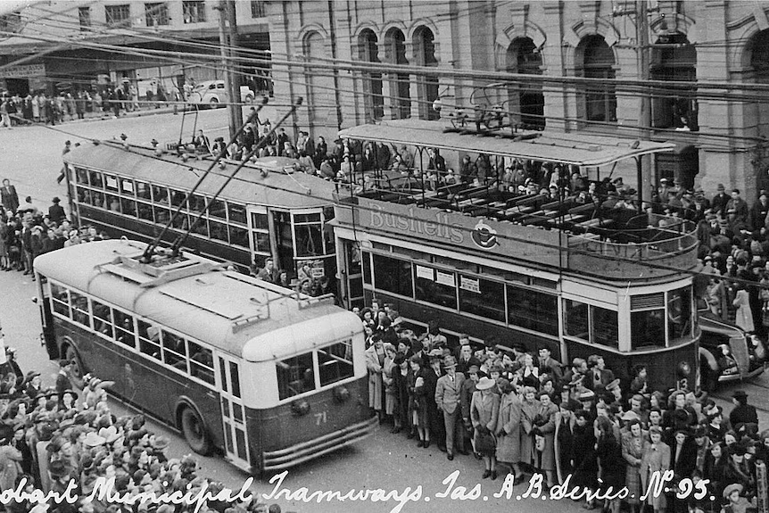 Nipaluna's Need for Public Transport