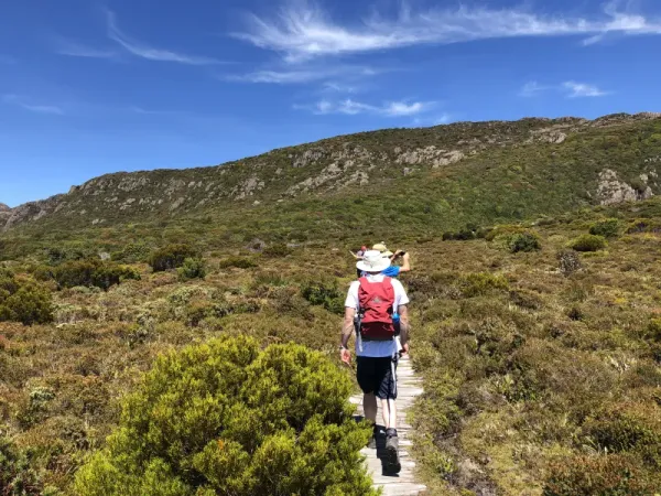 Submission to Exposure draft of The Health Revolution - 20-Year Preventive Health Strategy